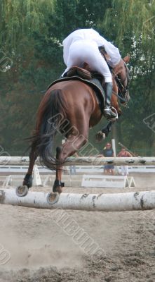 equestrian jumping over barrier