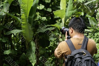 Tropical tourist taking photos