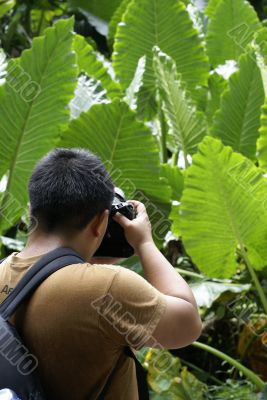 Tropical tourist taking photos