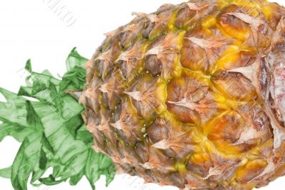 pineapple