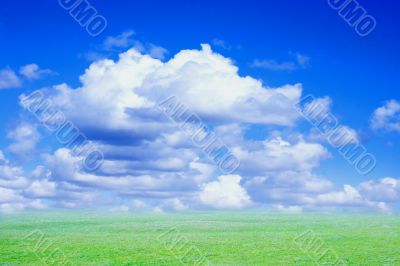 year sky