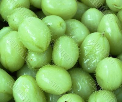 Gooseberries