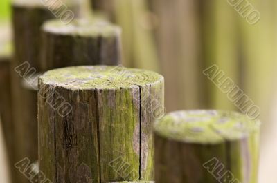 Line of wooden beams