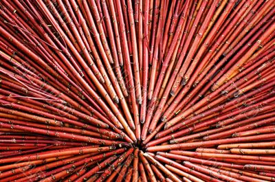 Decorative with stalks