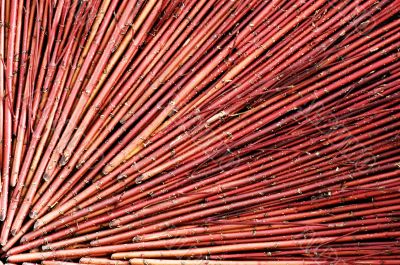 Decorative with stalks
