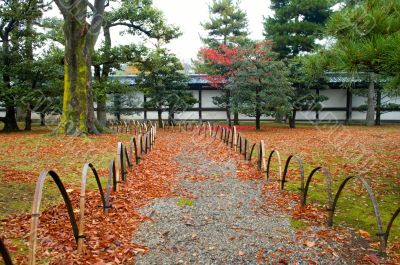 Yard