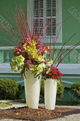 Pots of flowers