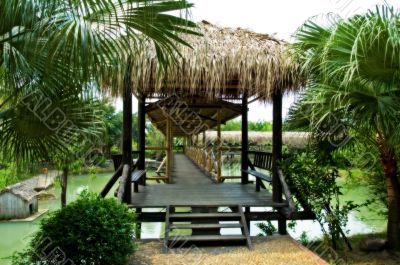 Wooden bridge