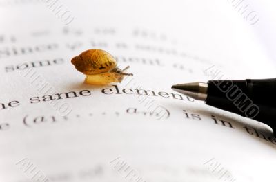 Small snail