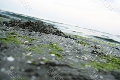 Summertime at the beach.