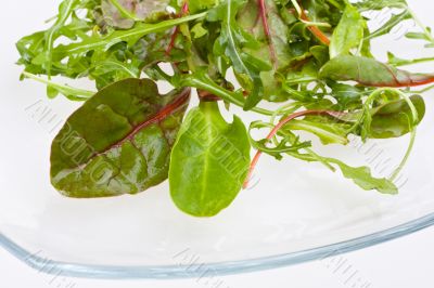 salad