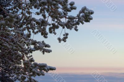 winter sunrise landscape / snow and sky