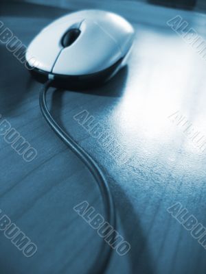 Mouse