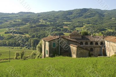 Farm near Parma (Italy)