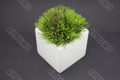 White vase with grass