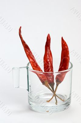 Red chilly in white cup