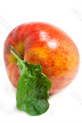 Apple with a sheet