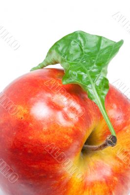 Apple with a sheet