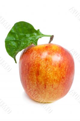 Apple with a sheet