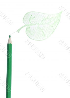 Green Pencil, The Leaf