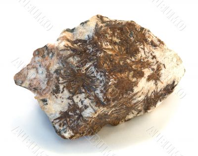 Astrophyllite
