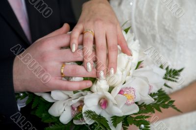 Hands with wedding rings
