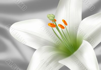Flower for Easter