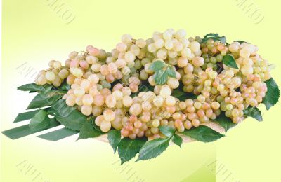 Grapes
