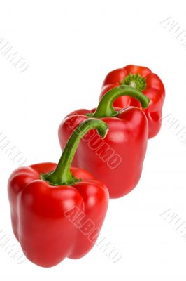 bell pepper