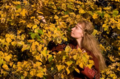 The elf in the autumn forest