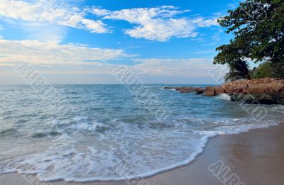 Sea wave on the sand