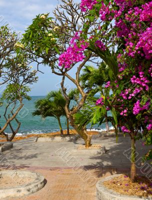 Flowers and the sea