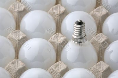 Light Bulbs
