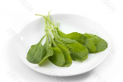 Fresh spinach
