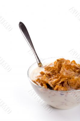 cornflakes with milk