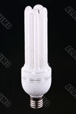 Luminescent bulb