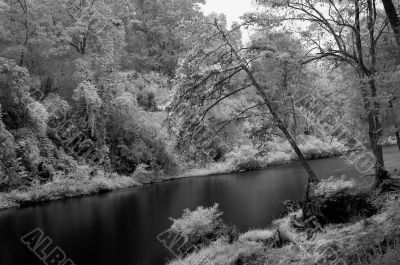 Peaceful Scene of Mae Ngao River - Infrared