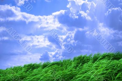 landscape