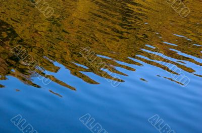 Water Reflection