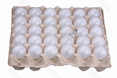 Light Bulbs