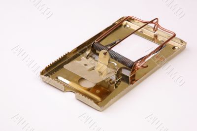 Empty mousetrap
