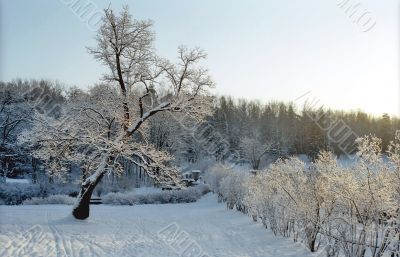 Winter park sight