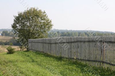 Palisade