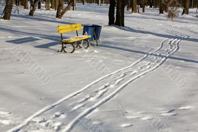 Winter park