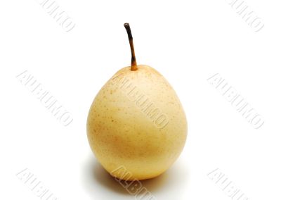 pear isolated