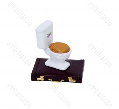 Business in the toilet