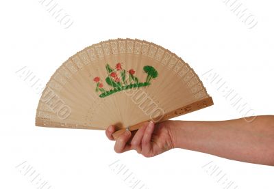 Holding Asian Fan