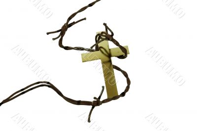 Golden cross and thorns