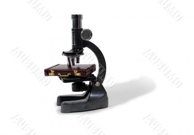 Business under scrutiny