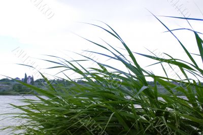 year landscape